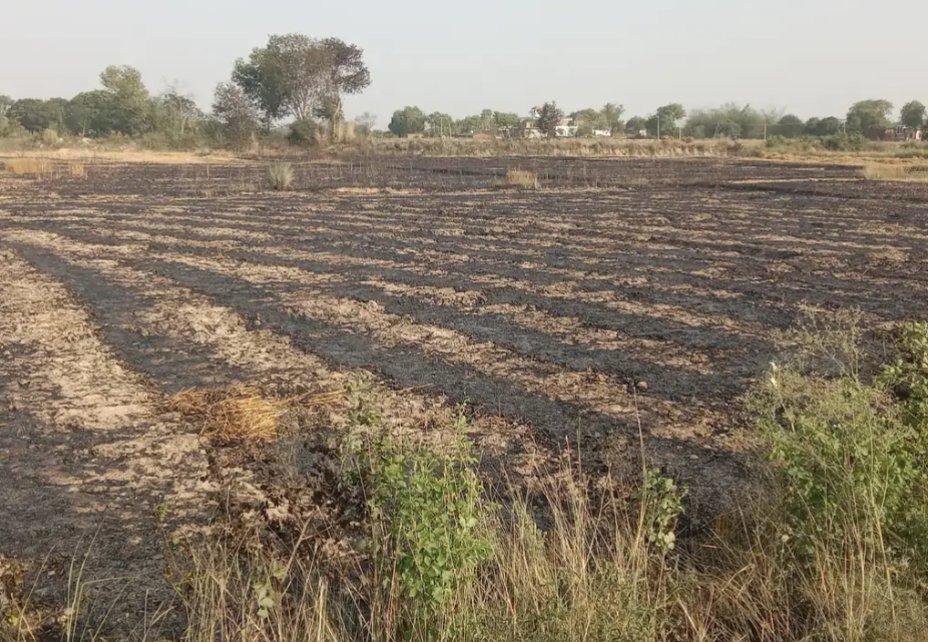 काजीहद गांव में भीषण आग,चार बीघा गेहूं की फसल जलकर राख