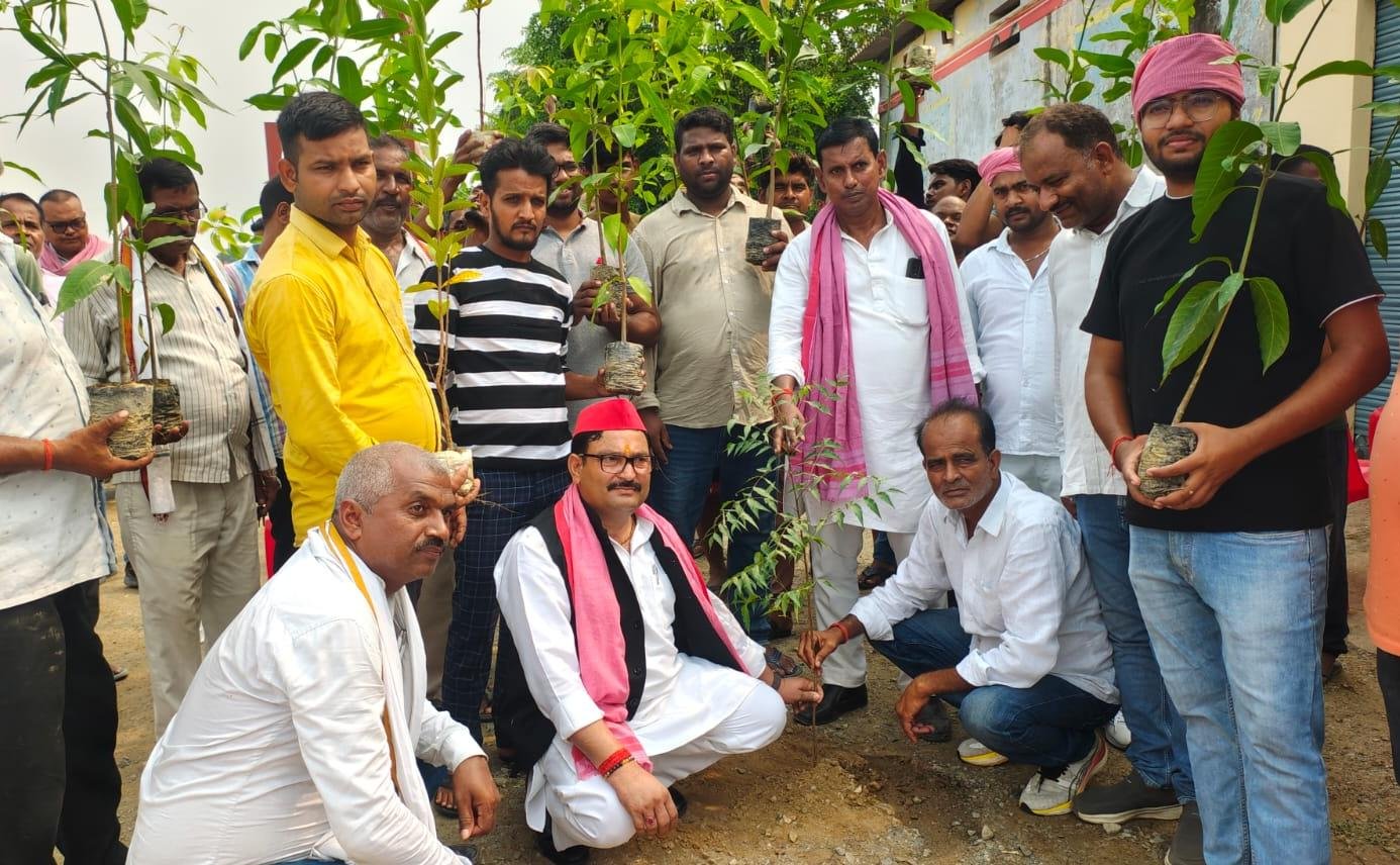 अखिलेश यादव के जन्मदिन पर सपा जिला सचिव भूपेश पांडेय ने 1100 पौधे लगाकर व वितरित कर दिया पर्यावरण संरक्षण का संदेश